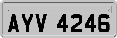 AYV4246