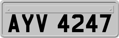 AYV4247