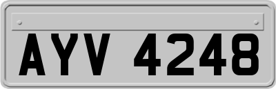 AYV4248