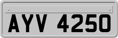AYV4250
