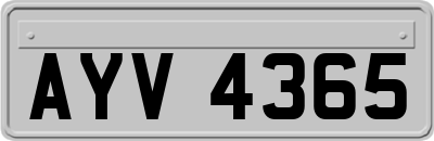 AYV4365