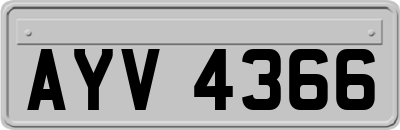 AYV4366