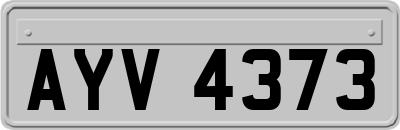 AYV4373