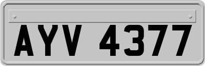 AYV4377
