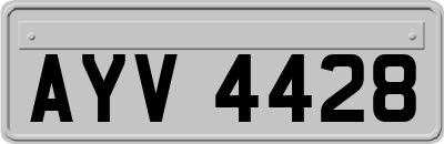 AYV4428