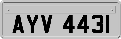 AYV4431