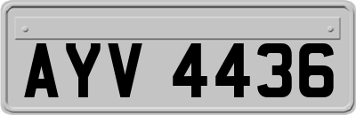 AYV4436
