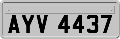 AYV4437