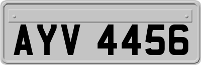 AYV4456