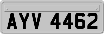 AYV4462