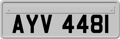 AYV4481