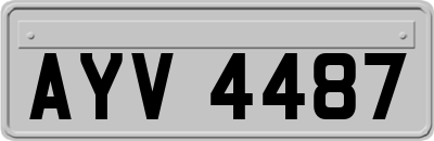 AYV4487