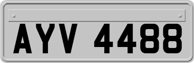 AYV4488
