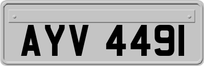 AYV4491