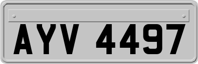 AYV4497