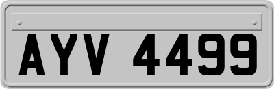 AYV4499