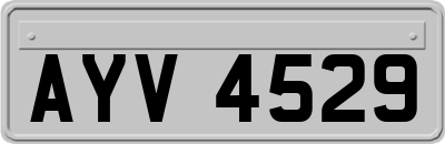 AYV4529