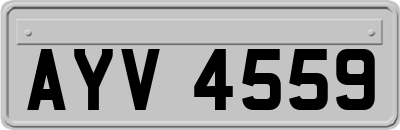 AYV4559