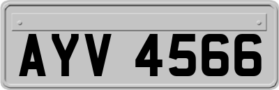AYV4566