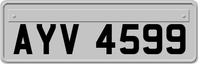 AYV4599