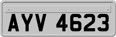 AYV4623