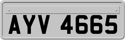 AYV4665