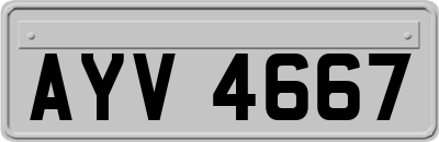 AYV4667