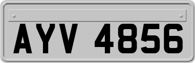 AYV4856