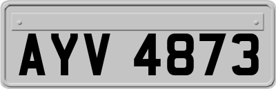 AYV4873