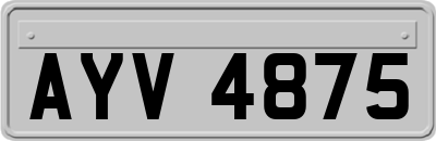 AYV4875