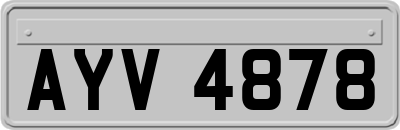 AYV4878