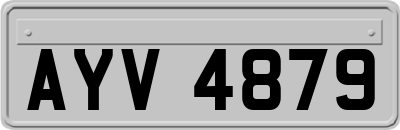 AYV4879