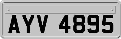 AYV4895