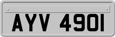 AYV4901