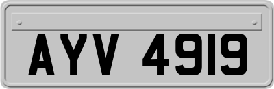 AYV4919