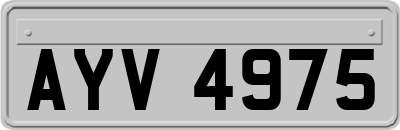 AYV4975