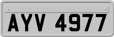 AYV4977