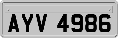 AYV4986