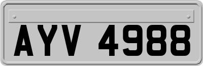 AYV4988