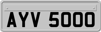 AYV5000
