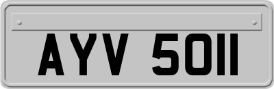 AYV5011