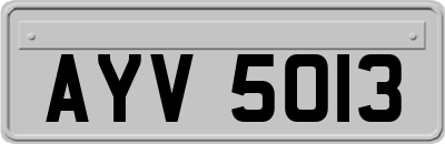 AYV5013