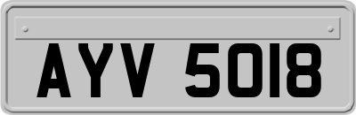 AYV5018