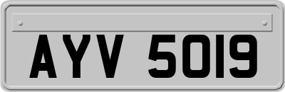 AYV5019