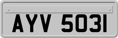 AYV5031