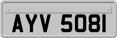 AYV5081