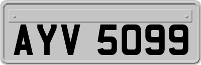 AYV5099