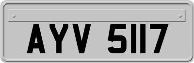 AYV5117