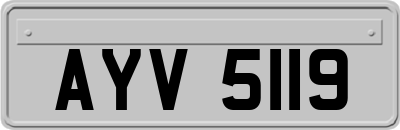 AYV5119