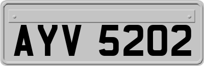 AYV5202